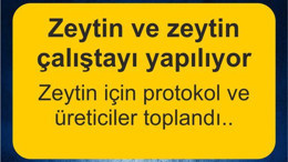 Zeytin ve Zeytinyağı Çalıştayı Edremit’te yapılıyor
