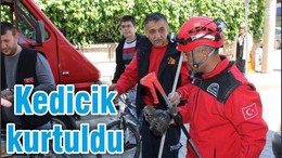 KEDİCİK KURTULDU