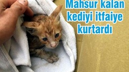 MAHSUR KALAN KEDİYİ İTFAİYE KURTARDI