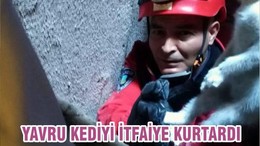 YAVRU KEDİYİ İTFAİYE KURTARDI