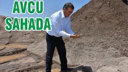 AVCU SAHADA