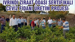 BALIKESİR İVRİNDİ ZİRAAT ODASI SERTİFİKALI CEVİZ FİDANI ÜRETİM PROJESİ
