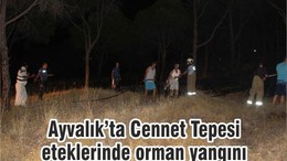 Ayvalık’ta Cennet Tepesi eteklerinde orman yangını