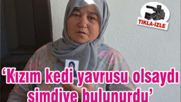 ‘Kızım kedi yavrusu olsaydı şimdiye bulunurdu’
