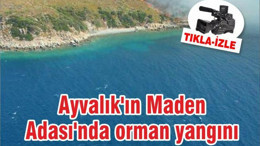 Ayvalık'ın Maden Adası'nda orman yangını