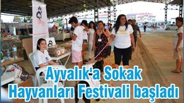 Ayvalık'a Sokak Hayvanları Festivali başladı