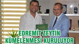 EDREMİT ZEYTİN KÜMELENMESİ KURULUYOR