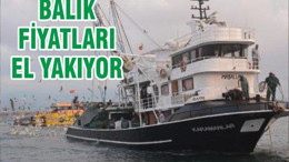 BALIK FİYATLARI EL YAKIYOR
