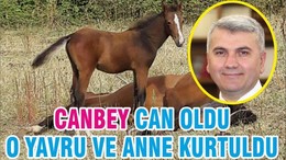CANBEY CAN OLDU O YAVRU VE ANNE KURTULDU