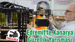 Edremit'te Kanarya Güzellik Yarışması