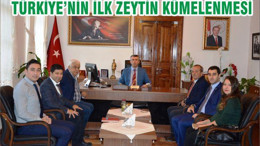 TÜRKİYE’NİN İLK ZEYTİN KÜMELENMESİ