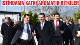İSTİHDAMA KATKI AROMATİK BİTKİLER