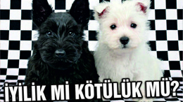 İYİLİK Mİ KÖTÜLÜK MÜ?