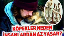 NEDEN KÖPEKLER İNSANLARDAN DAHA AZ YAŞAR?