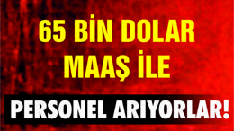 65 BİN DOLAR MAAŞLA PERSONEL ARANIYOR!