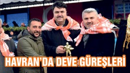 HAVRAN'DA DEVE GÜREŞLERİ NEFES KESTİ