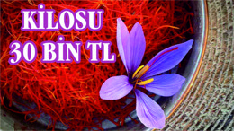1 KİLOSU 30 BİN TL