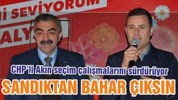 SANDIKTAN BAHAR ÇIKSIN