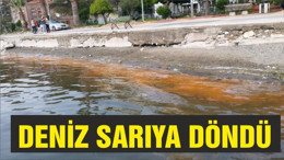 Deniz Sarıya Döndü