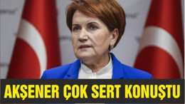 AKŞENER "MİLLET İRADESİNE DARBE YAPANLARA SESSİZ KALMAYACAĞIZ"