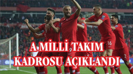A Milli Takım kadrosu açıklandı!