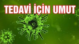 Virüslerde keşfedilen özellik tedavi için umut olabilir