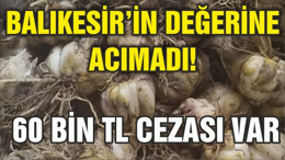 BALIKESİR’İN DEĞERİNE ACIMADI