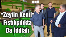 "Zeytin Kenti" Fıstıkçılıkta Da İddialı