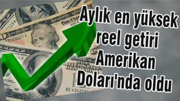 Aylık en yüksek reel getiri Amerikan Doları'nda oldu