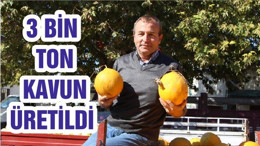 3 BİN TON KAVUN ÜRETİLDİ