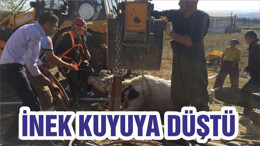 İNEK KUYUYA DÜŞTÜ