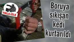 Boruya sıkışan kedi kurtarıldı