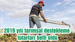 2019 yılı tarımsal destekleme tutarları belli oldu