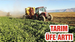 TARIM-ÜFE ARTTI