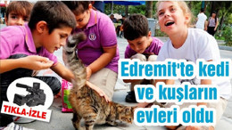 Edremit'te kedi ve kuşların evleri oldu