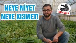 NEYE NİYET NEYE KISMET!