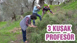 3 KUŞAK PROFESÖR