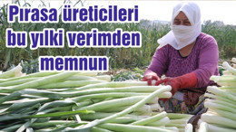 Pırasa üreticileri bu yılki verimden memnun
