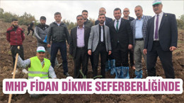MHP FİDAN DİKME SEFERBERLİĞİNDE