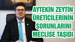 AYTEKİN ZEYTİN ÜRETİCİLERİNİN SORUNLARINI MECLİSE TAŞIDI