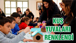 KUŞ YUVALARI RENKLENDİ