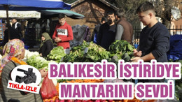 BALIKESİR İSTİRİDYE MANTARINI SEVDİ