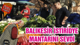 BALIKESİR İSTİRİDYE MANTARINI SEVDİ
