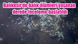 Balıkesir'de balık ölümleri yaşanan derede inceleme başlatıldı