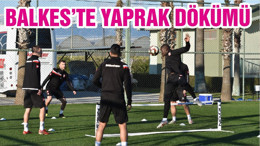 BALKES’TE YAPRAK DÖKÜMÜ