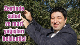 Zeytinde şubat ve mart yağışları beklentisi