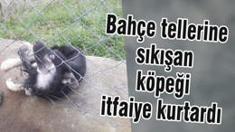 Bahçe tellerine sıkışan köpeği itfaiye kurtardı