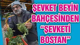 ŞEVKET BEYİN BAHÇESİNDEN “ŞEVKETİ BOSTAN”
