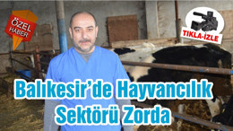 Balıkesir’de Hayvancılık Sektörü Zorda