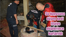 Su kuyusuna düşen kedi itfaiye ekiplerince kurtarıldı